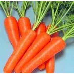 天然胡萝卜素 天然胡萝卜素 天然胡萝卜素 植物性胡萝卜素