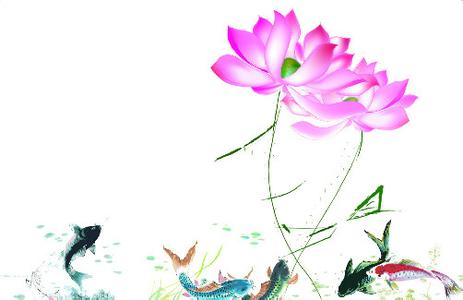 初一莲花作文300字 莲(初一作文)