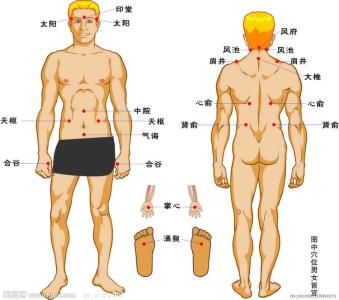 男性性健康咨询 男性性健康咨询 四个穴位提升男性性健康