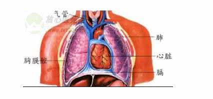 气胸是怎么引起的病因 气胸的病因 教你新生儿气胸如何正确护理