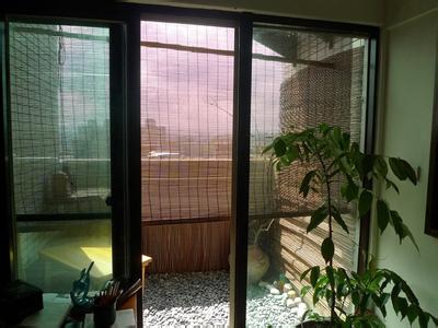 窗帘旁边有柜子 中国式隔热法：窗帘挂在窗外，柜子放在西晒墙