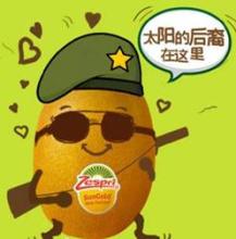 卖小太阳鹦鹉获刑 魔都最近雨水多？这家店在卖“小太阳”?还萌萌哒~