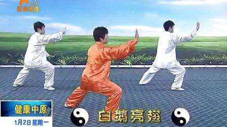 陈氏太极拳二路教学 陈氏太极拳 第一路教学 第二路教学