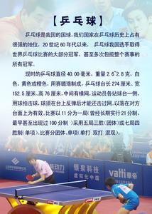 羽毛球简介 兵乓球简介