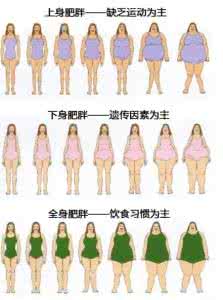 科学减肥方法 科学的减肥方法 如何科学减肥 八大科学减肥方法