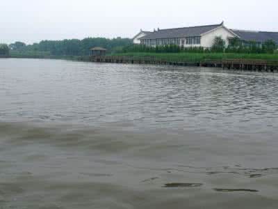 泰州溱湖湿地公园 泰州溱湖 泰州 溱湖湿地公园 摄影纪实