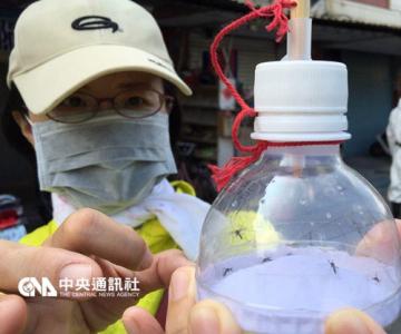 台湾登革热 台湾登革热破1.5万 42例死亡