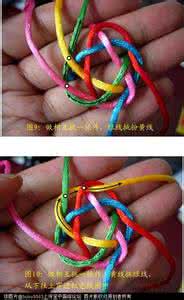 五线纽扣结 五线十瓣纽扣教程