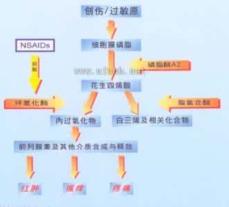 非甾体抗炎药 甾 非甾体抗炎药 - A+医学百科