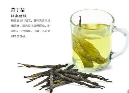 苦丁茶属于什么茶 苦丁茶 苦丁茶属于什么茶