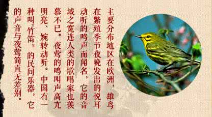 西师大版二年级上册语文课后练习题 《面对夜莺感到羞愧》