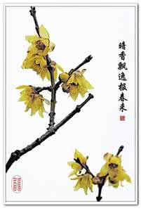 人生不需要走弯路 人生难免走弯路，但要我心无悔
