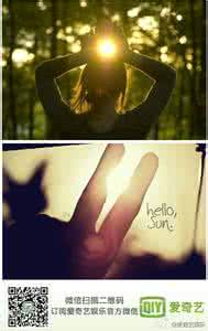 裂缝中的阳光 生命有裂缝，阳光才能照进来