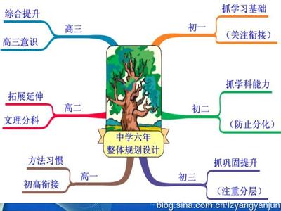 中学六年规划设计