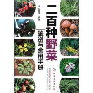 常见可食用野菜 附图 常见食用野菜大全 导航12篇