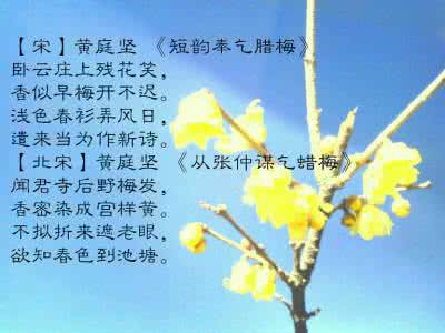 历代咏腊梅诗词选 历代咏腊梅诗词选 历代咏花诗词（1365首）