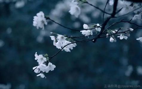 遇见 散文 转：散文：如果遇见只是个错