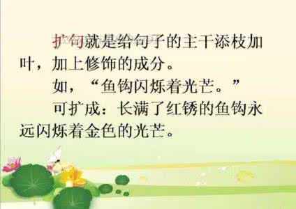 小学语文扩句和缩句 小学语文知识：缩句和扩句的技巧！