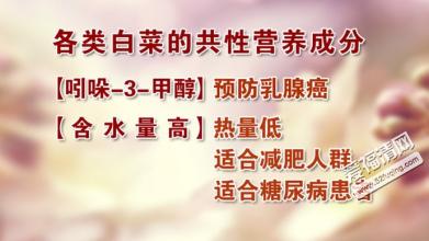 北京养生堂拍手治百病 《养生堂》·百病白菜巧防病