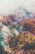 太敏感的人不容易幸福 每日七言(1390)太重感情的人,不容易幸福