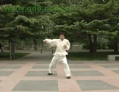 陈炳太极拳 陈炳太极拳精彩视频 56式太极拳,打得超精彩!