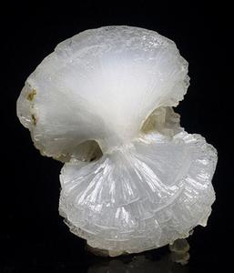 石头开花 石头开花 石头开花原因?