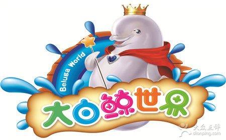 大白鲸世界儿童乐园 可爱大白鲸图案的儿童针织短袖衫图解