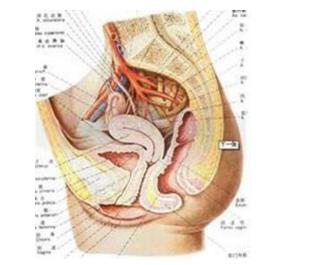 白带黑色是什么原因 阴道流黑色的白带是什么原因？