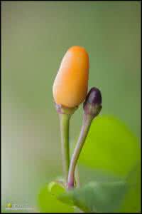 微笑人生 微笑人生......