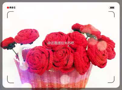 钩针玫瑰花图解 钩针玫瑰图解大全
