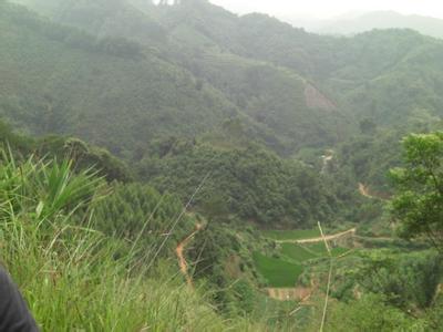 阴阳宅实用风水学化解 阴阳宅真经卷上阴宅风水学