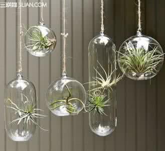 玻璃瓶风铃的制作方法 装在玻璃瓶中不经风吹的爱