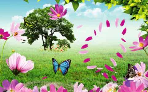 美丽的夏天作文200字 美丽的夏天作文150字