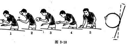 乒乓球发球技术 乒乓球发球技术 打乒乓球必知常识