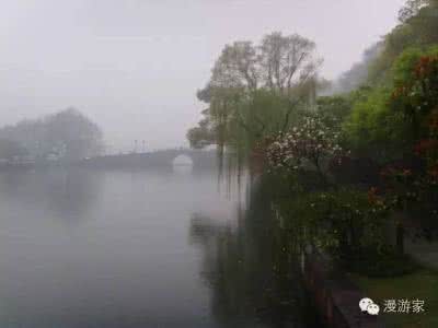 赵丽宏山雨 赵丽宏山雨 《山雨》读后感及作者赵丽宏的介绍