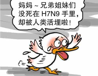 禽流感来袭 禽流感来袭 流感来袭！拿什么拯救你重感冒