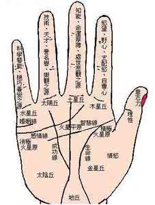 手相命理 八卦命理:感情用事的女人手相(图)