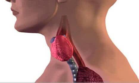 治咽炎的偏方太神了 咽炎偏方简直太神了 咽炎偏方，配方一看就懂！