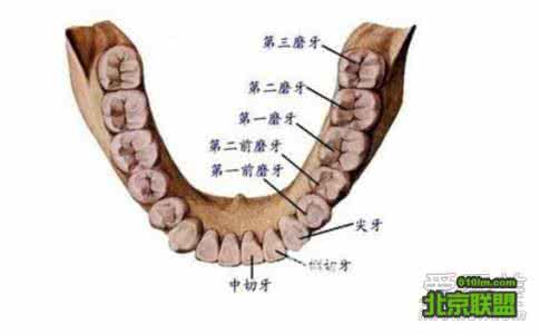 大病情况说明 总有这种感觉就说明大病将至