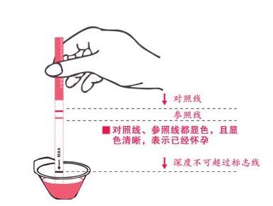 当归鉴别 当归的鉴别要点与方法