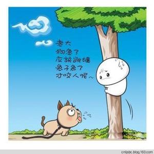 哲理漫画 哲理漫画欣赏