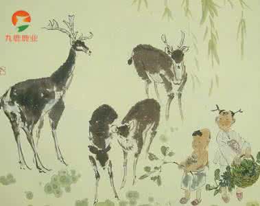 鹿的文化寓意 《诗经》中鹿的文化寓意及其演变