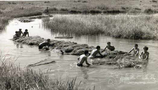 北大荒知青电视剧全集 激情岁月：北大荒知青影像集【3】
