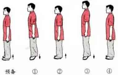 一个动作锻炼全身肌肉 一个动作，几乎补全身。