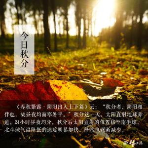 秋分养生 秋分养生，重在“养收”！