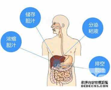肝肿瘤的早期症状 胆囊结石症状