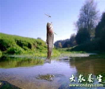 职业体能知识 网友总结户外知识 疲劳防护和体能恢复