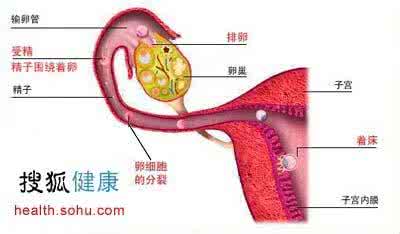 秘密潜入1中文补丁 7.0补丁隐藏的秘密 女性子宫隐藏的7个秘密