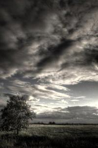 描写阴天的优美句子 阴天 描写阴天的句子