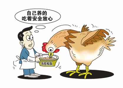 防毒从口入 怎样吃才安全?